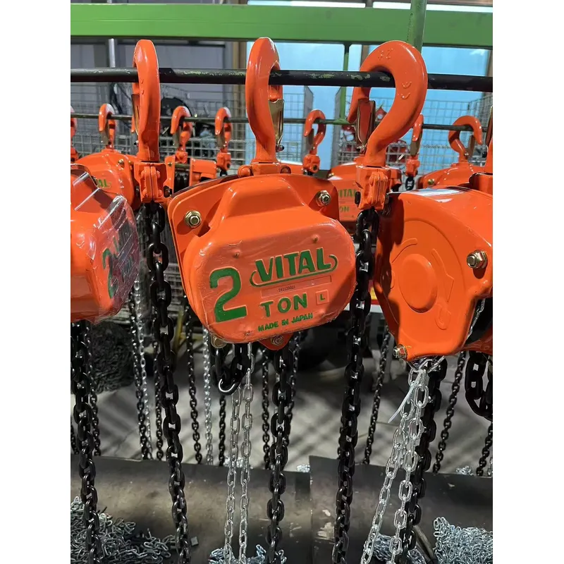 2T Capacity Length Small One V - огляд і ціна Electric Chain Hoist
