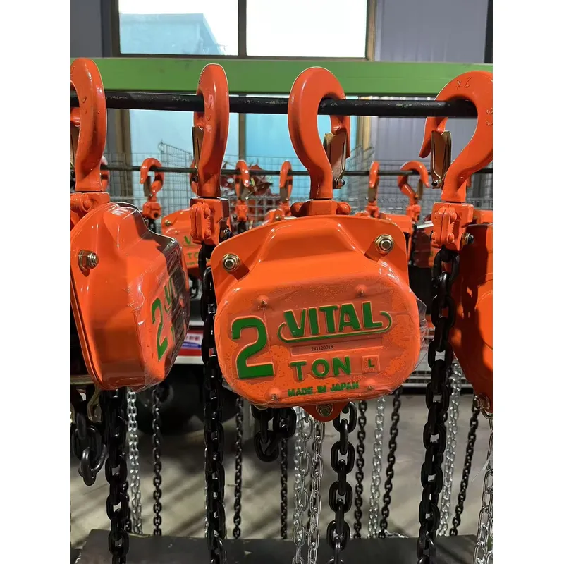 2T Capacity Length Small One V - огляд і ціна Electric Chain Hoist