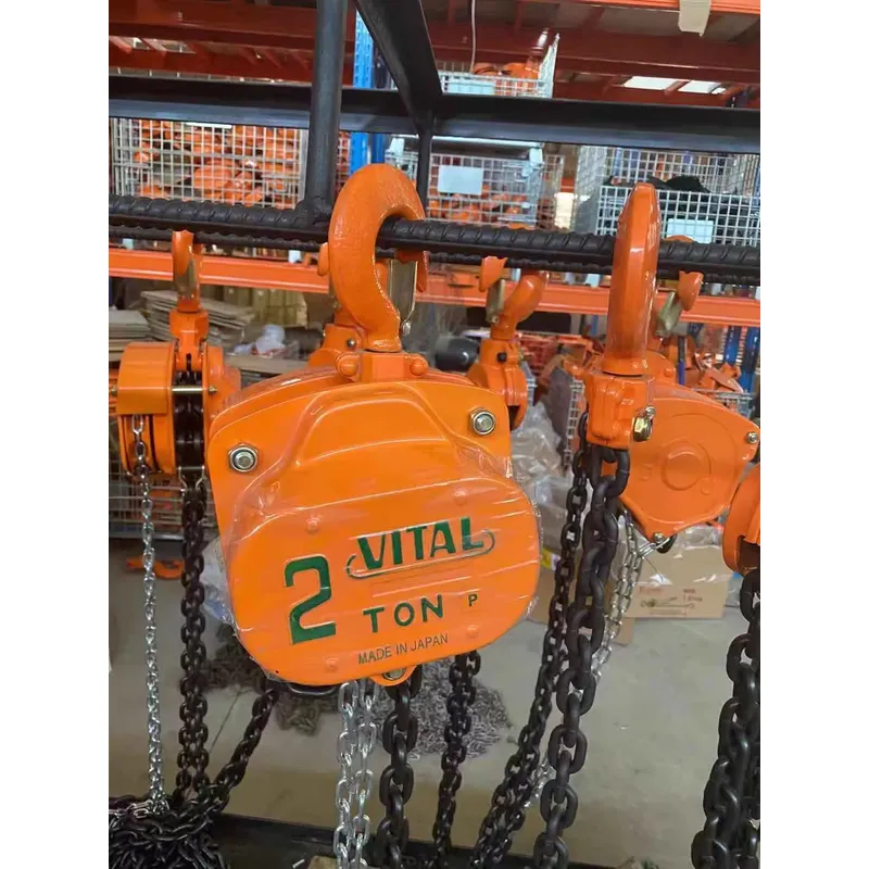 2T Capacity Length Small One V - огляд і ціна Electric Chain Hoist